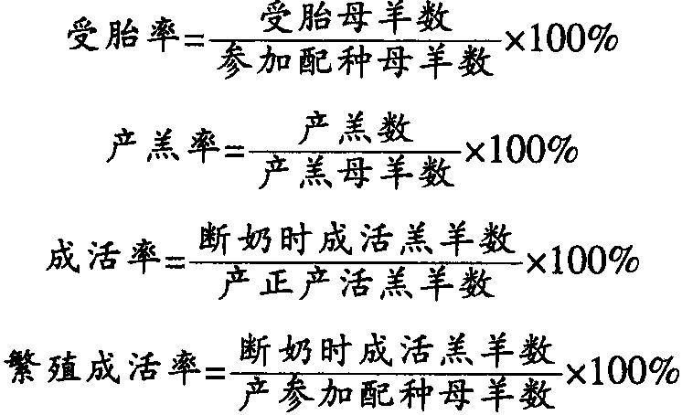 六、育成羊与成年羊标准